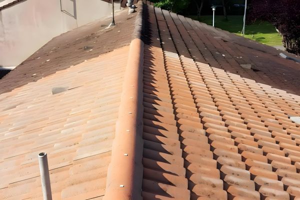 Nettoyage et démoussage à Cîteaux