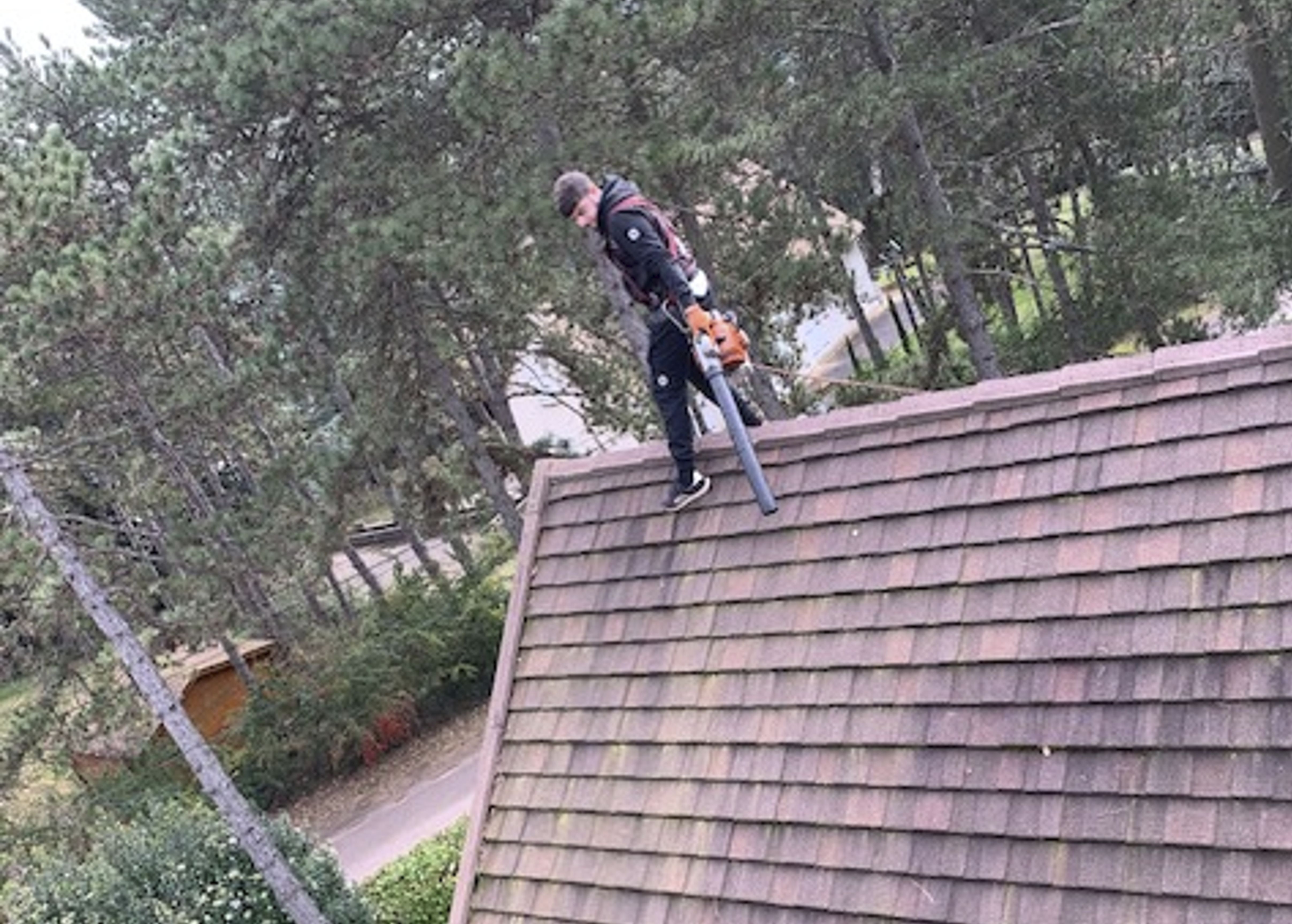 Nettoyage et démoussage à Curtil-Vergy