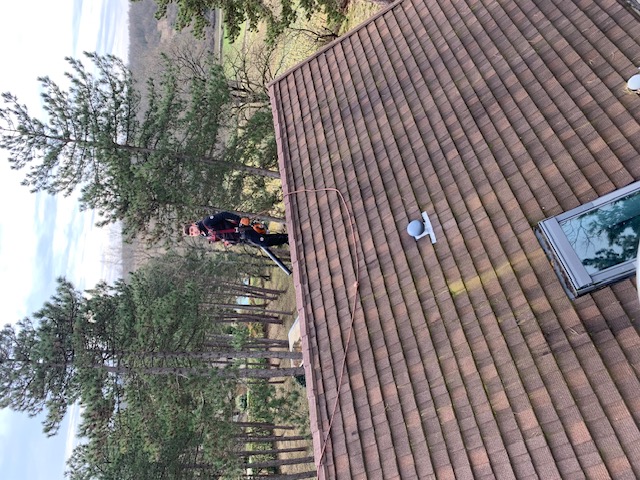 Image10 - Nettoyage et démoussage à Beaune